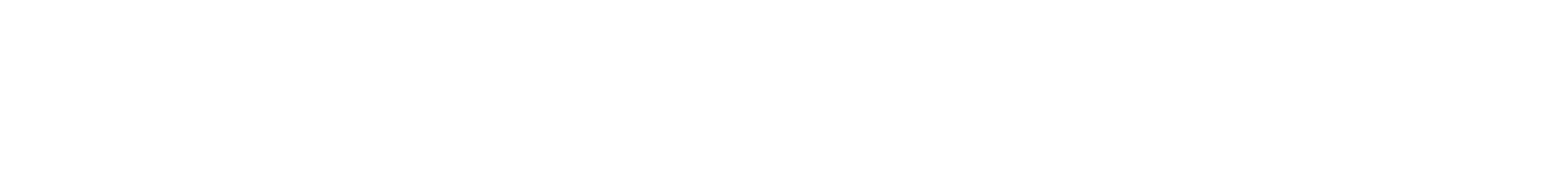 Dualtron